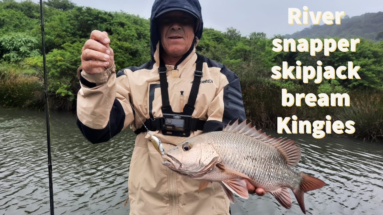 River Snapper on lure during an epic river session with full species count