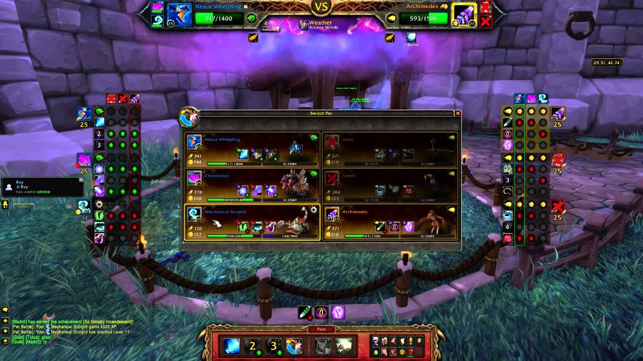 How to level a pet from 1-25 in 10 minutes WoD Garrison Daily