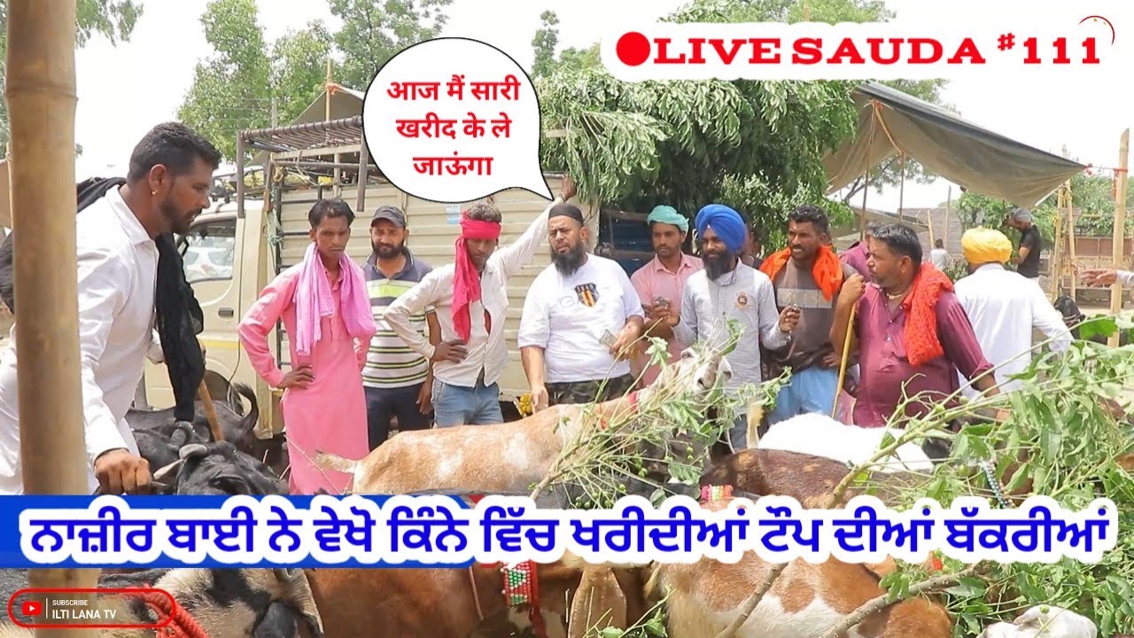 नाजिर खान ने किया बीटल बकरियों का Live सौदा - Goat farming - @ILTILANATV