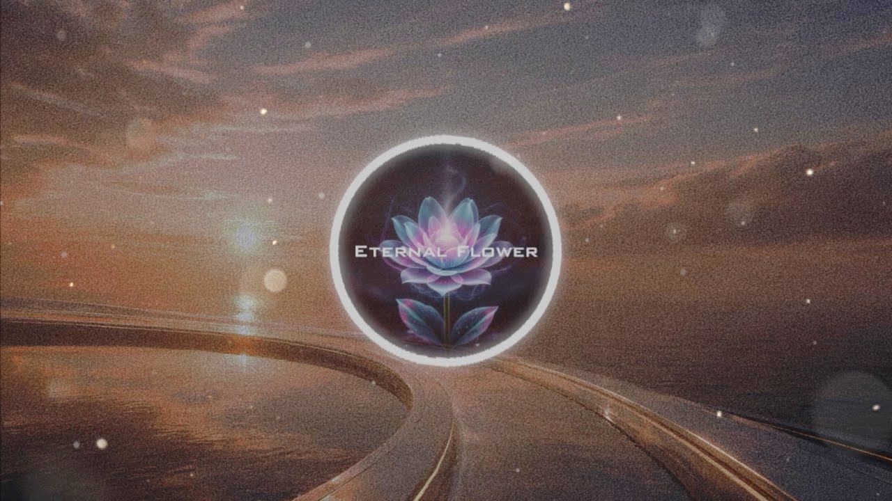 ☀️【EDM×洋楽】前向きになれる1時間BGM｜作業・勉強・運動・朝ドライブ