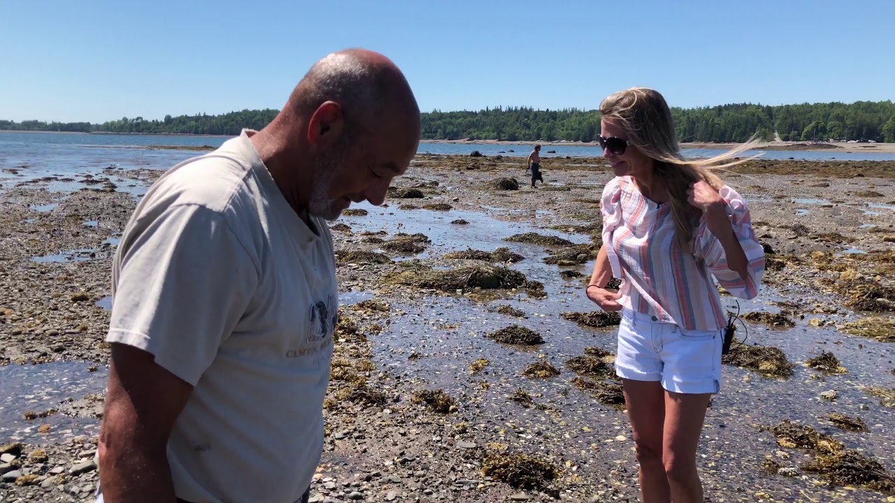 CLAM DIGGING LESSON - ST ANDREWS NEW BRUNSWICK