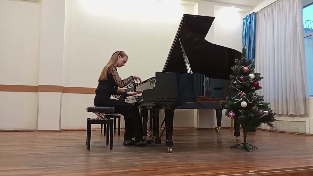 Аккордеонистка за роялем🎹🪗🔥Ф.Шопен 