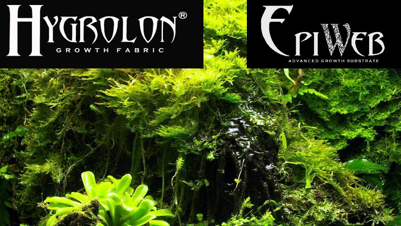 Montagens com Epiweb Moss Mix & Hygrolon