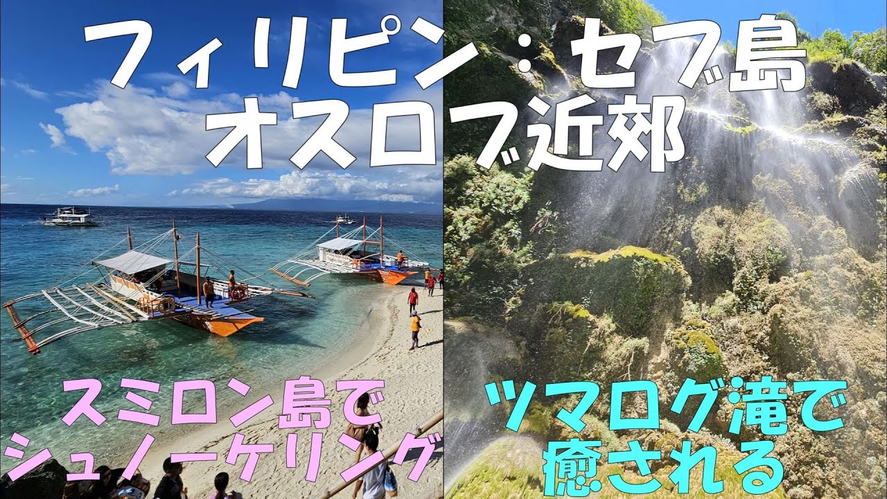 フィリピン：セブ島のセブシティからオスロブ近郊への「ジンベエザメ＆スミロン島＆ツマログ滝」現地ツアーに参加しました（2023年12月９日）