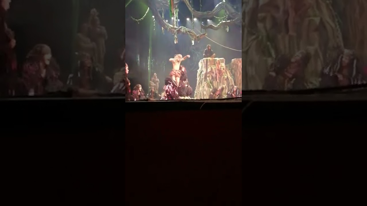 muzik&aacute;l Tarzan děkovačka