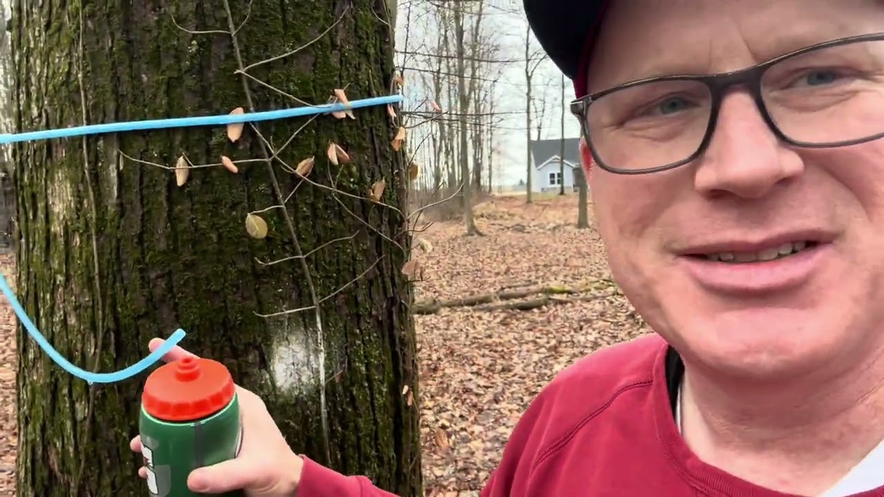 Maple Season Clean Up