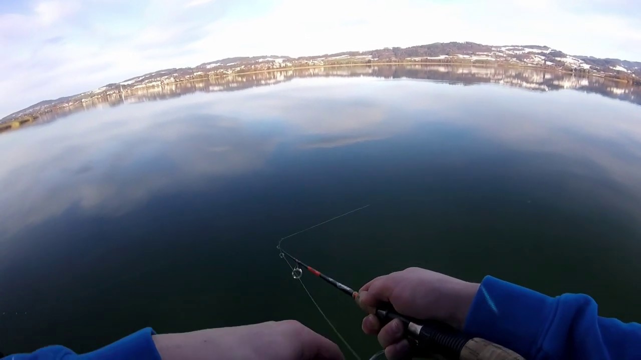 Fische im Januar!? | Fishing CH