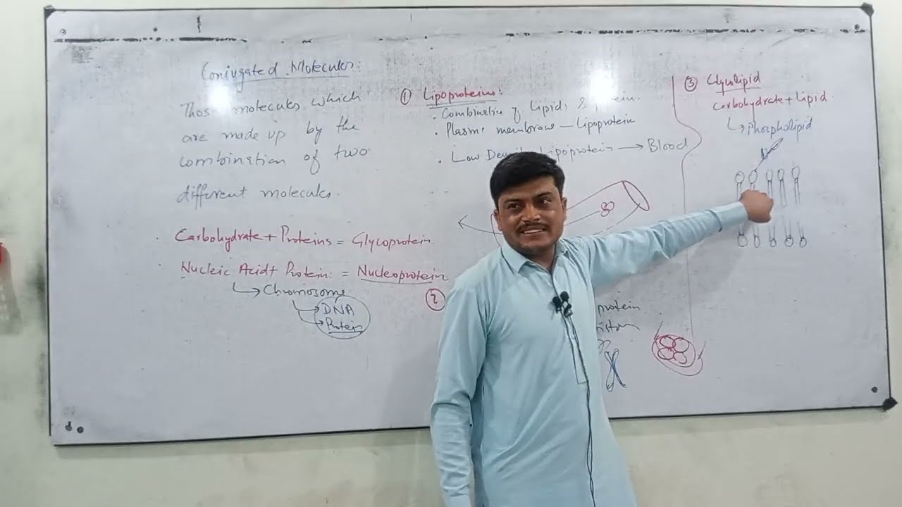 Conjugated Molecules | Lecture 04 | First year Biology 