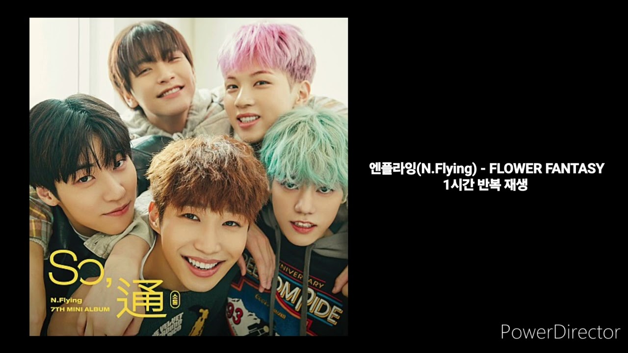엔플라잉(N.Flying) | FLOWER FANTASY | 1시간 반복 재생