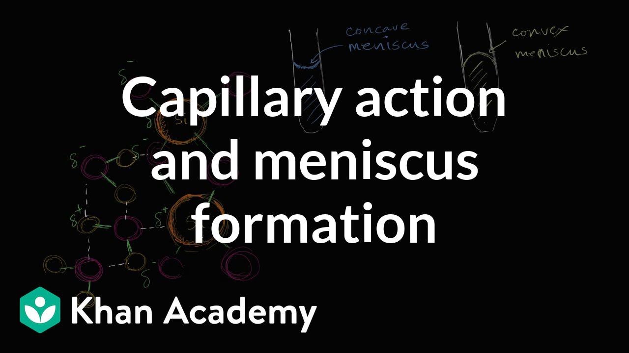 Capillary action and why we see a meniscus | Chemistry | Khan Academy