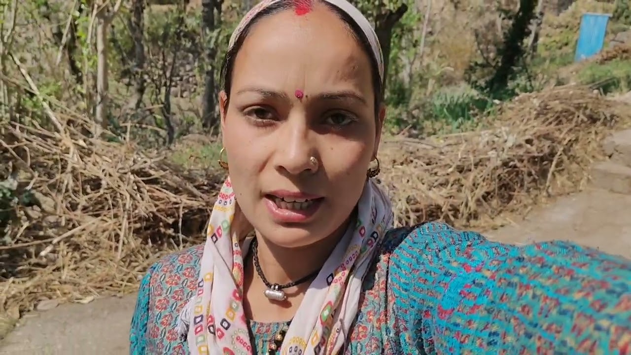 इस साल होली नहीं खेली ll Daily Pahadi Lifestyle Vlog ll