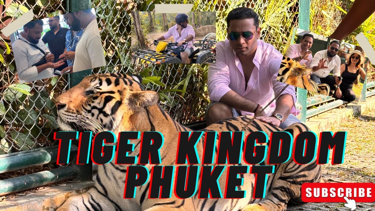 Tiger Kingdom Phuket 🐅 | Cost, Experience & Reality | ATV Ride | Day 3 Vlog | #033 