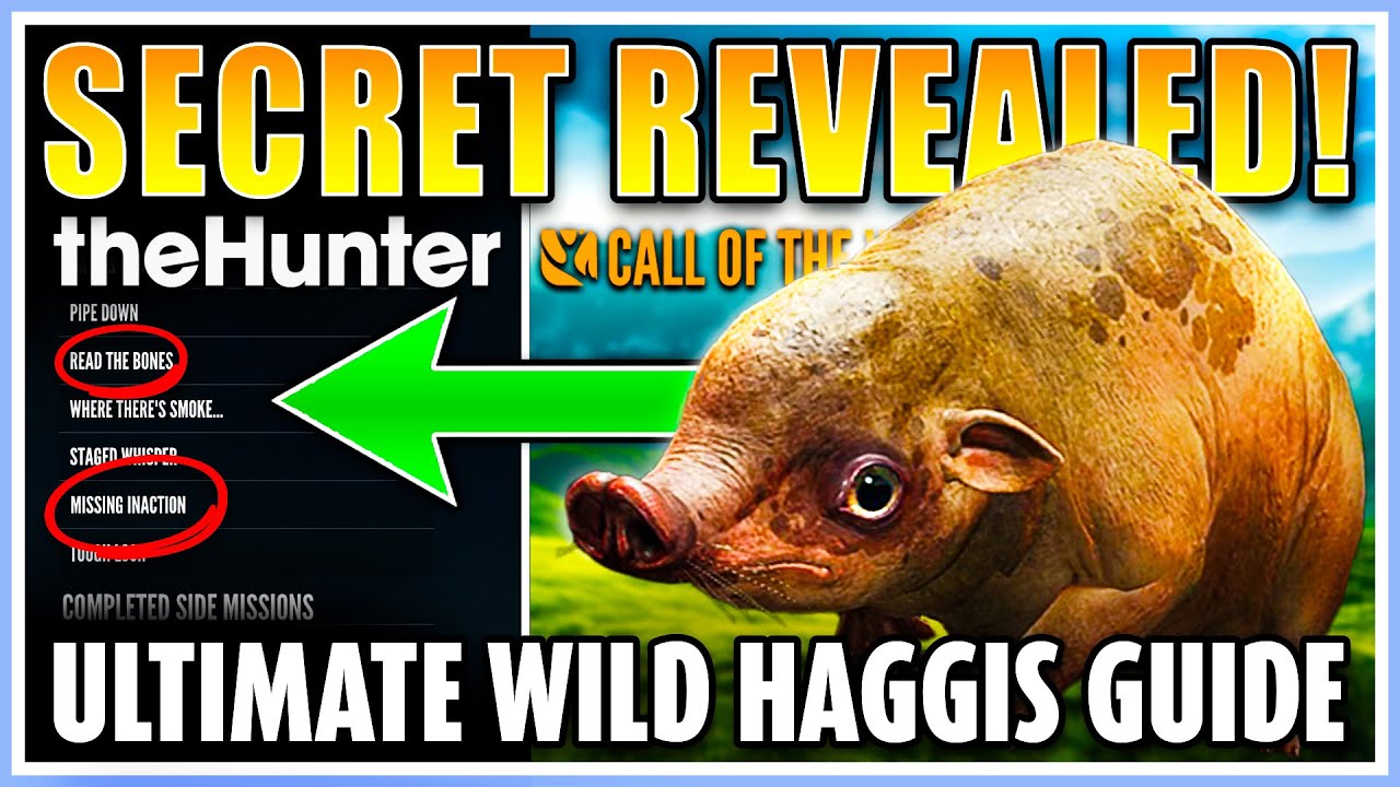 How to ACTUALLY Spawn a WILD HAGGIS! (Super EASY!!) - Wild Haggis Guide | theHunter Call of the Wild