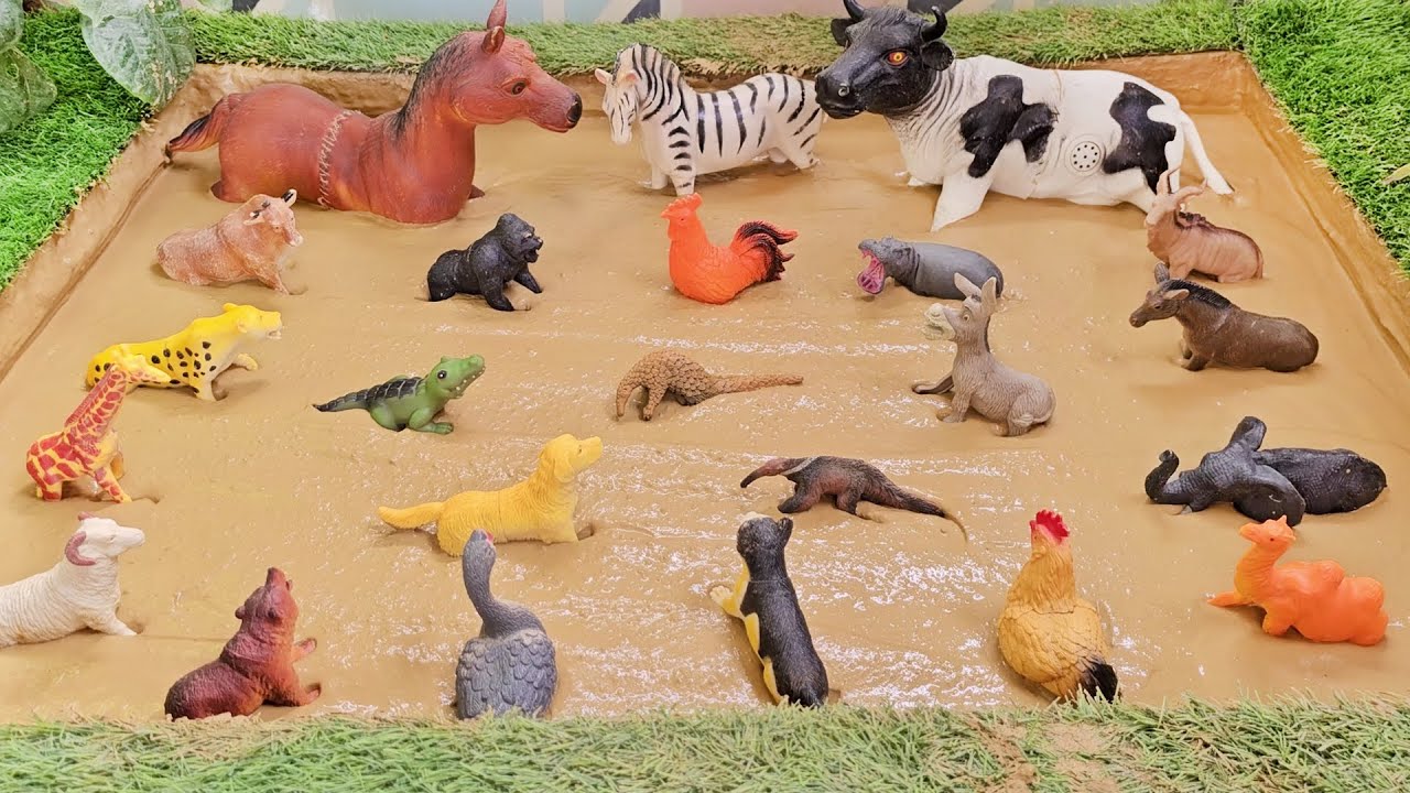 From Farm to Savannah: The Ultimate Animal Rescue Adventure for Kids