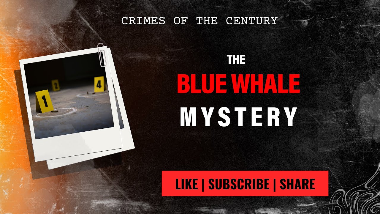 The DEADLY Truth About The Blue Whale Challenge