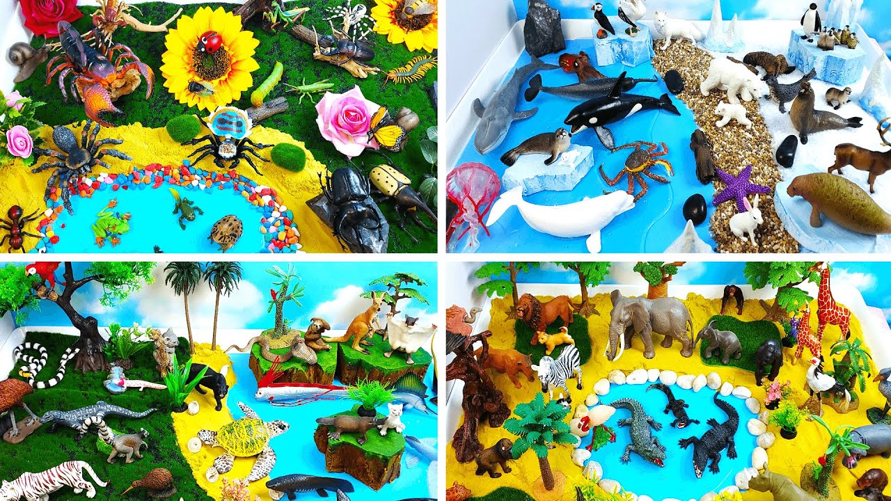 Grand Huge Animal Dioramas collection- Learn Insects Polar African Exotic Animals for preschool kids