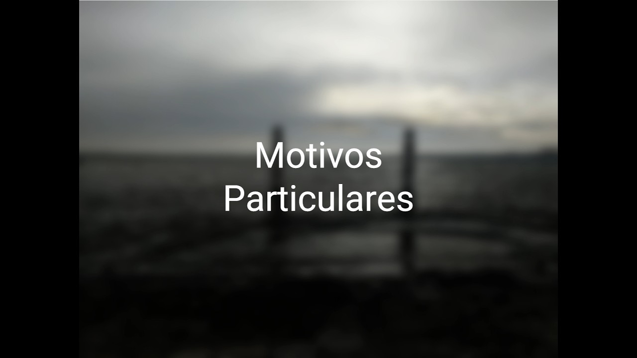 Motivos Particulares