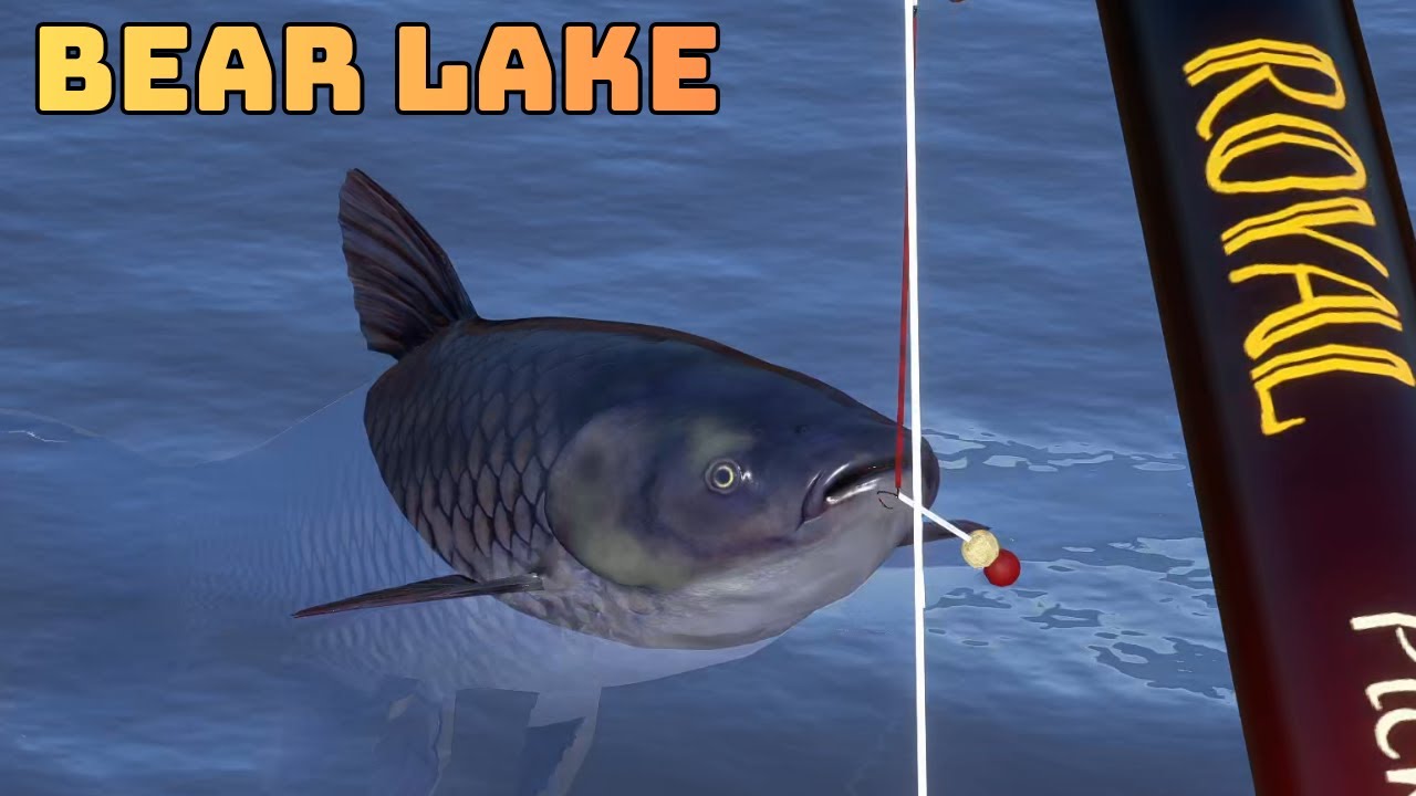 Malinowe Jezioro Nieniedźwiedzie na proce (164)  | Russian Fishing 4