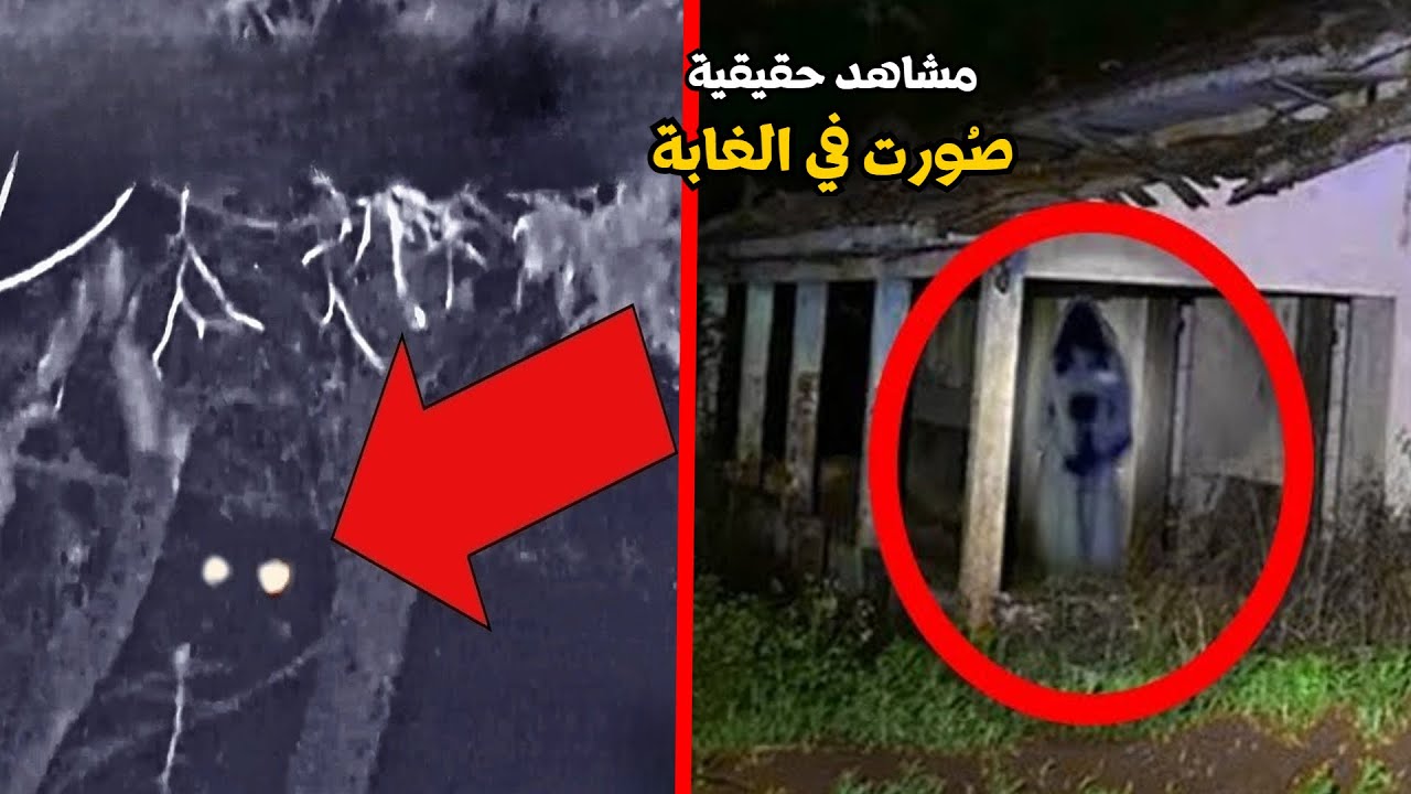 أقوى 7 مشاهد حقيقية مرعبة صورتها عدسات الكاميرا صدفة لأشياء مخيفة في الغابة