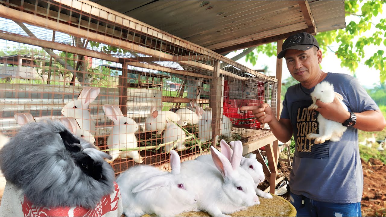 I Expanded My New Farm by 10 Bunnies! Removal of 12,500 pounds of dangerous plants from the pond!