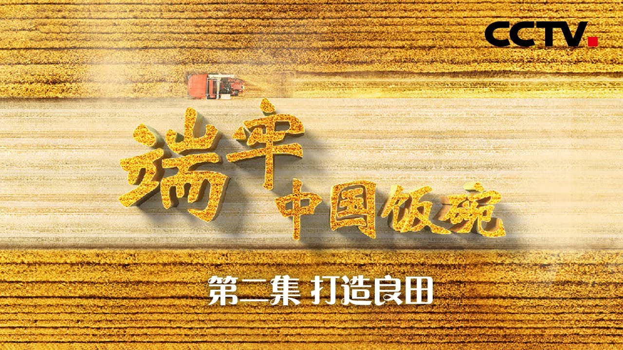 纪录片《端牢中国饭碗》第2集 打造良田 | CCTV「端牢中国饭碗」