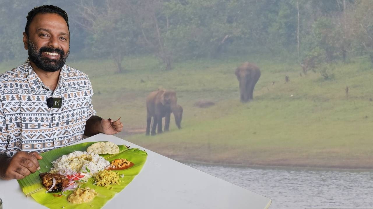 ഒരു ആനകുടുംബവും കട്ടപ്പന ഊണും | An elephant family and Kattappana homely meals with fish fry