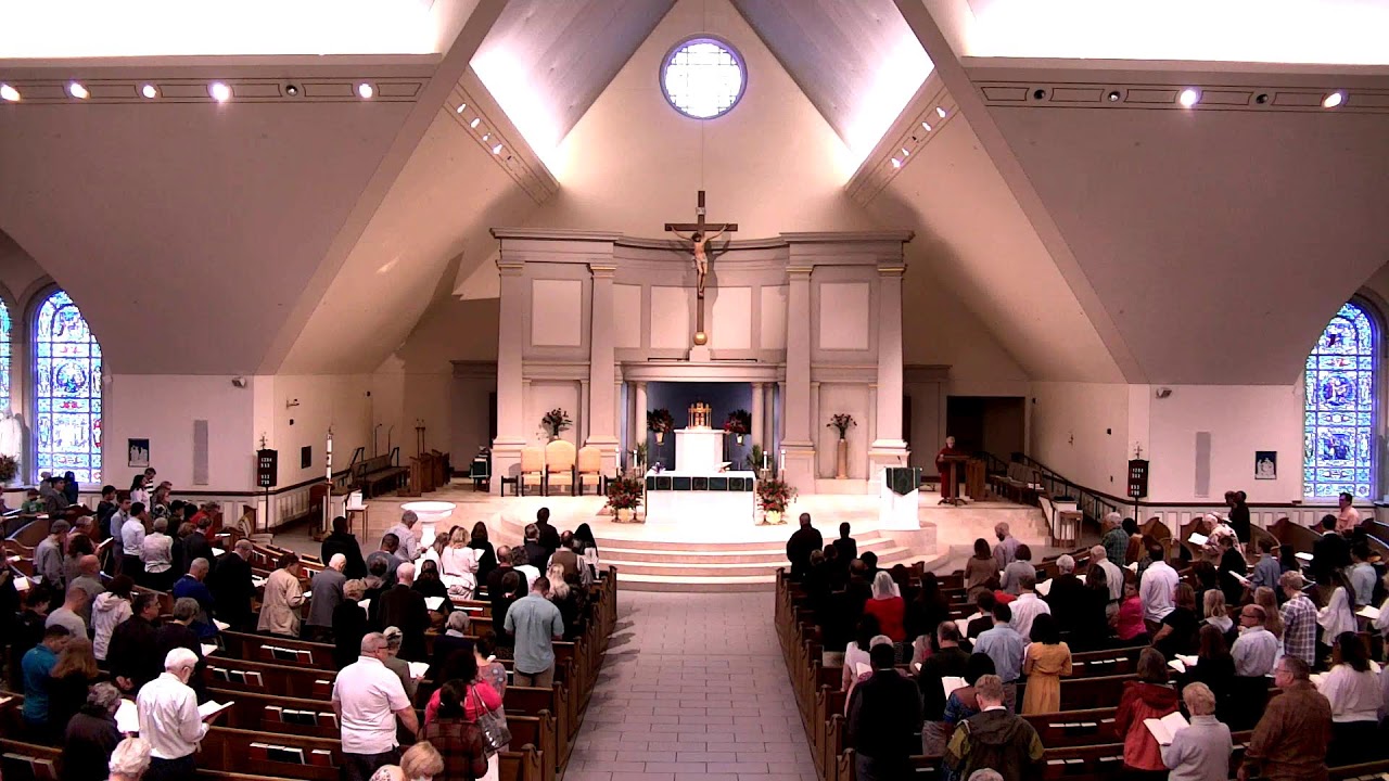 St. Louis Live Stream