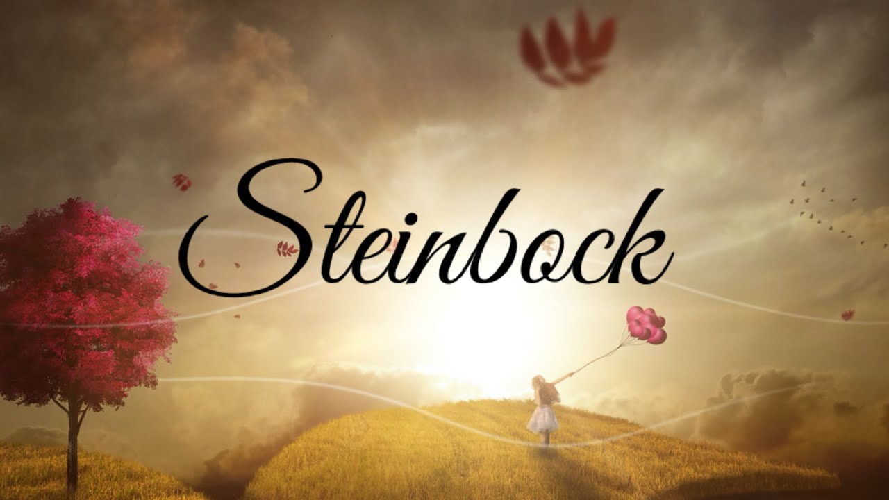 Steinbock ♑️ Stillstand. Schließ mit der Vergangenheit ab und entscheide dich aus vollem Herzen neu!