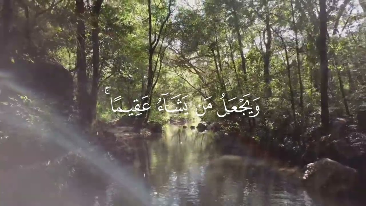 ما تيسر من سورة الشورى 