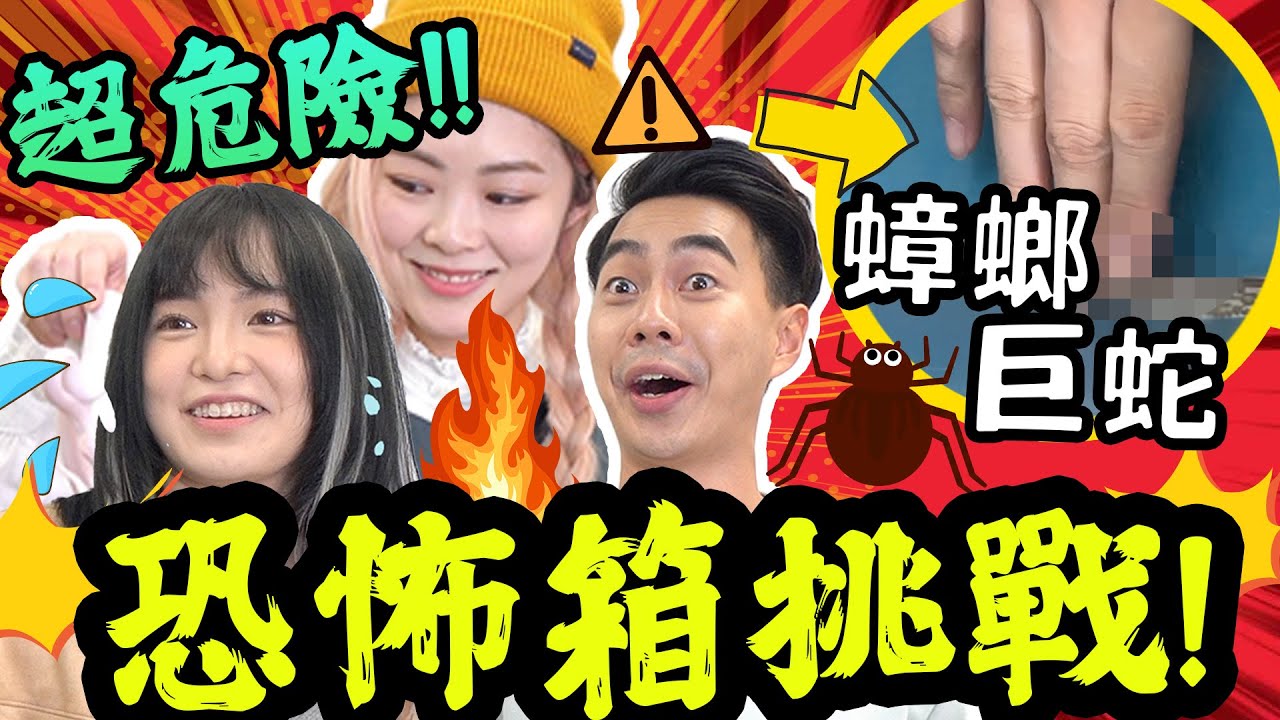 🚨超危險恐怖箱挑戰！有毒生物注意⚠️ 最安全反而最難估？！蟑螂 蟒蛇 蜘蛛 蠍子