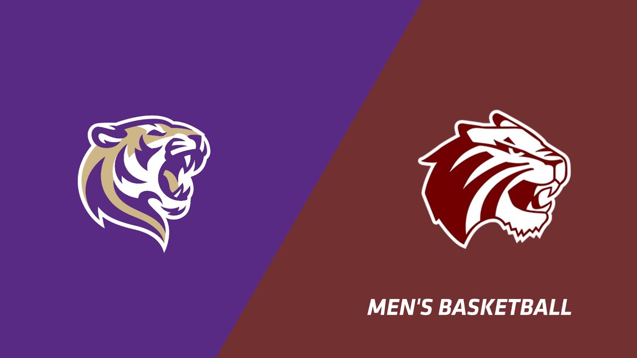 260123 NCAA Men's Basketball - Trinity University vs. Sewanee