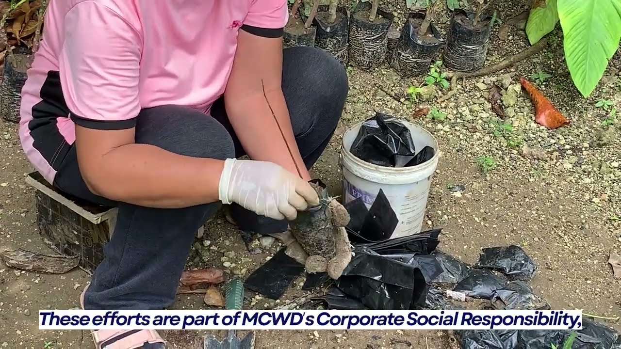 Tree Planting Initiative