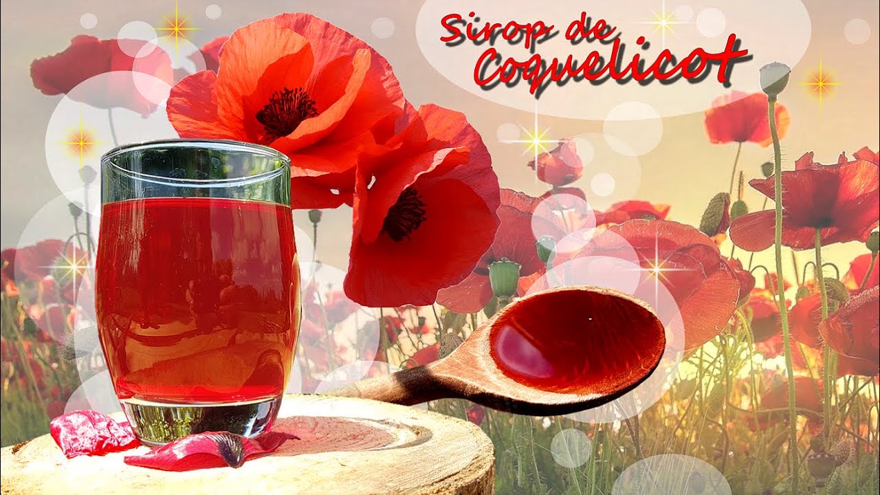 🌷Comment faire son sirop de Coquelicot ? 🍸