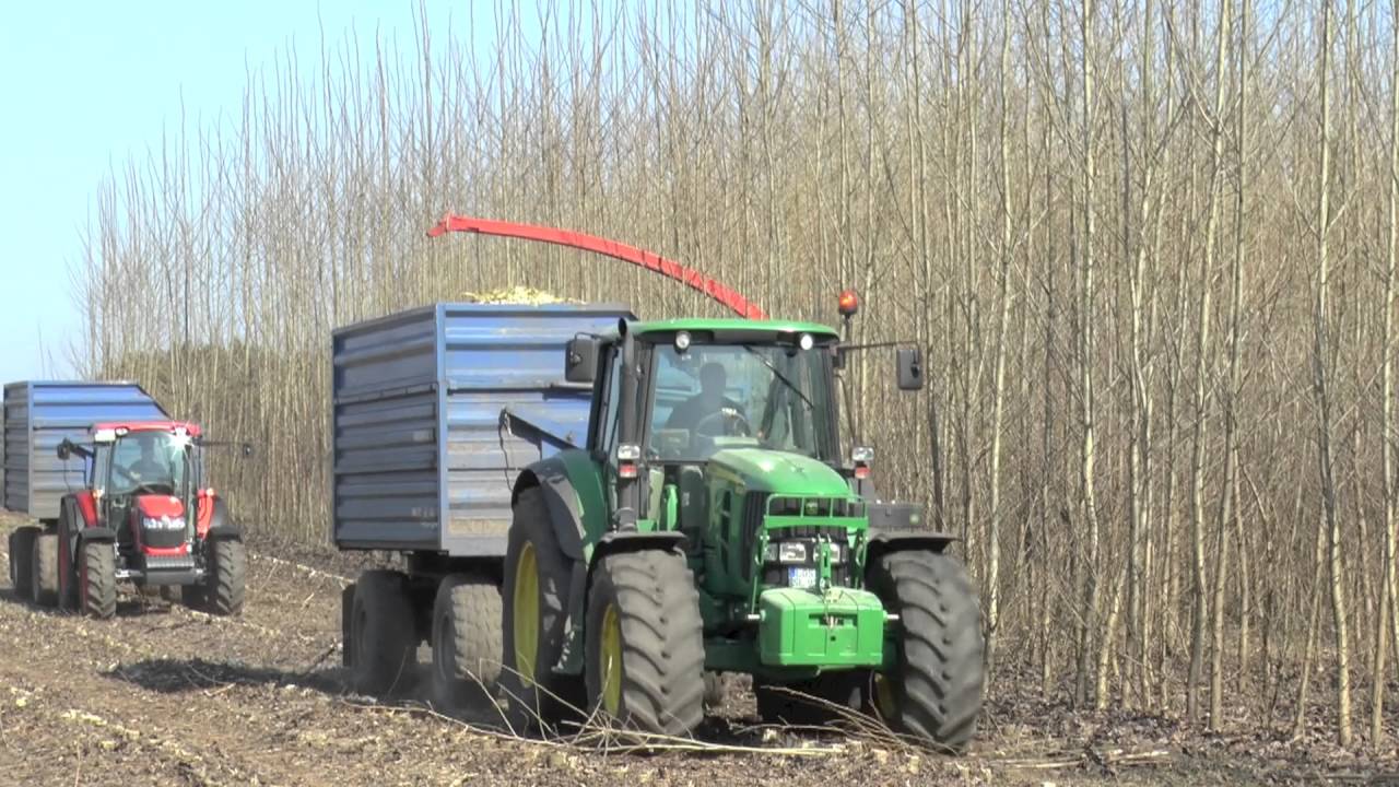 New mower-chipper (chopper short rotation forestry) for harvesting wood chips (Germany)