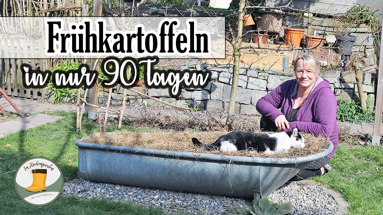 Kartoffeln im März unter Heu | im Hausgarten geht Alles - traut euch!