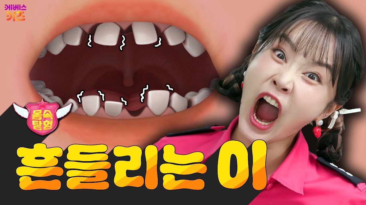 이가 흔들려요! 이유가 뭘까?ㅣ젖니ㅣ삐뽀삐뽀 몸 속 탐험ㅣ헤이지니ㅣKBS 250312 방송