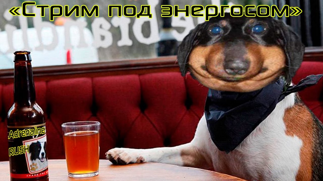 Стрим под энергетиком, истории, видосы - Давг, Алисон