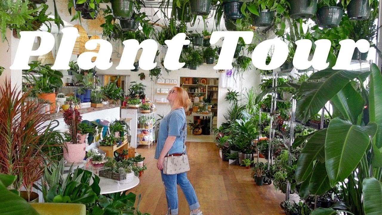 Restocked Houseplant Shop Tour! Go Houseplant Shopping With Me~