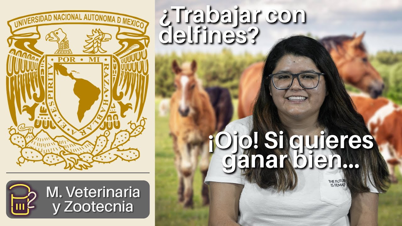 P2 U - Estudiar Medicina Veterinaria y Zootecnia en Ciudad Universitaria