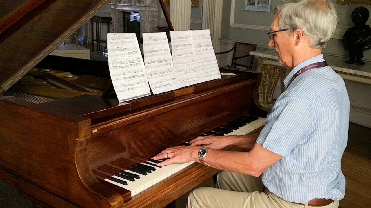 2019.06.28 Pianist, Wimpole Hall & Gardens, Cambridgeshire, UK - 01
