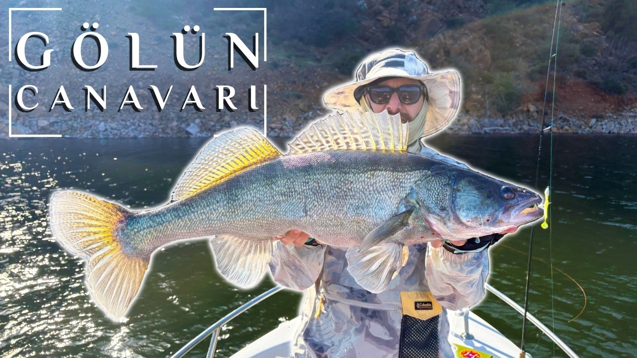 Atçek ile Sudak Avı Nasıl Yapılır ? l Big Zander Fishing l