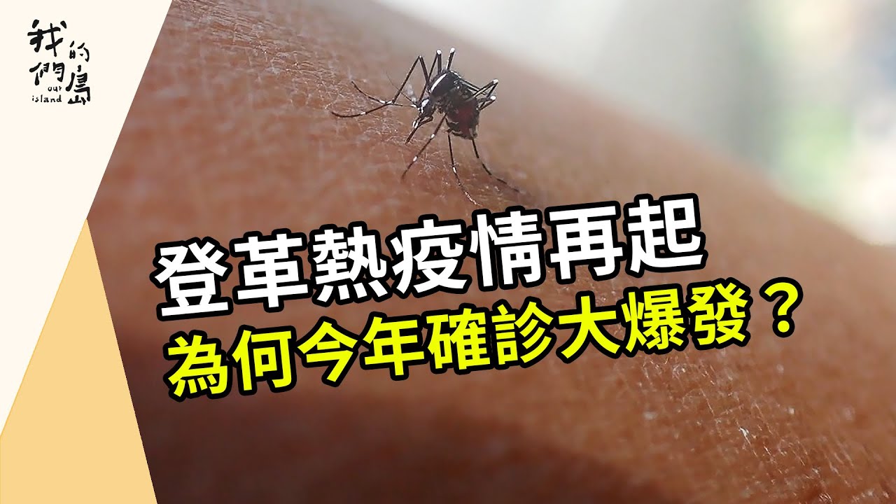 登革熱疫情再起｜一場人類與病媒蚊的戰爭(我們的島 第1220集 2023-09-04)