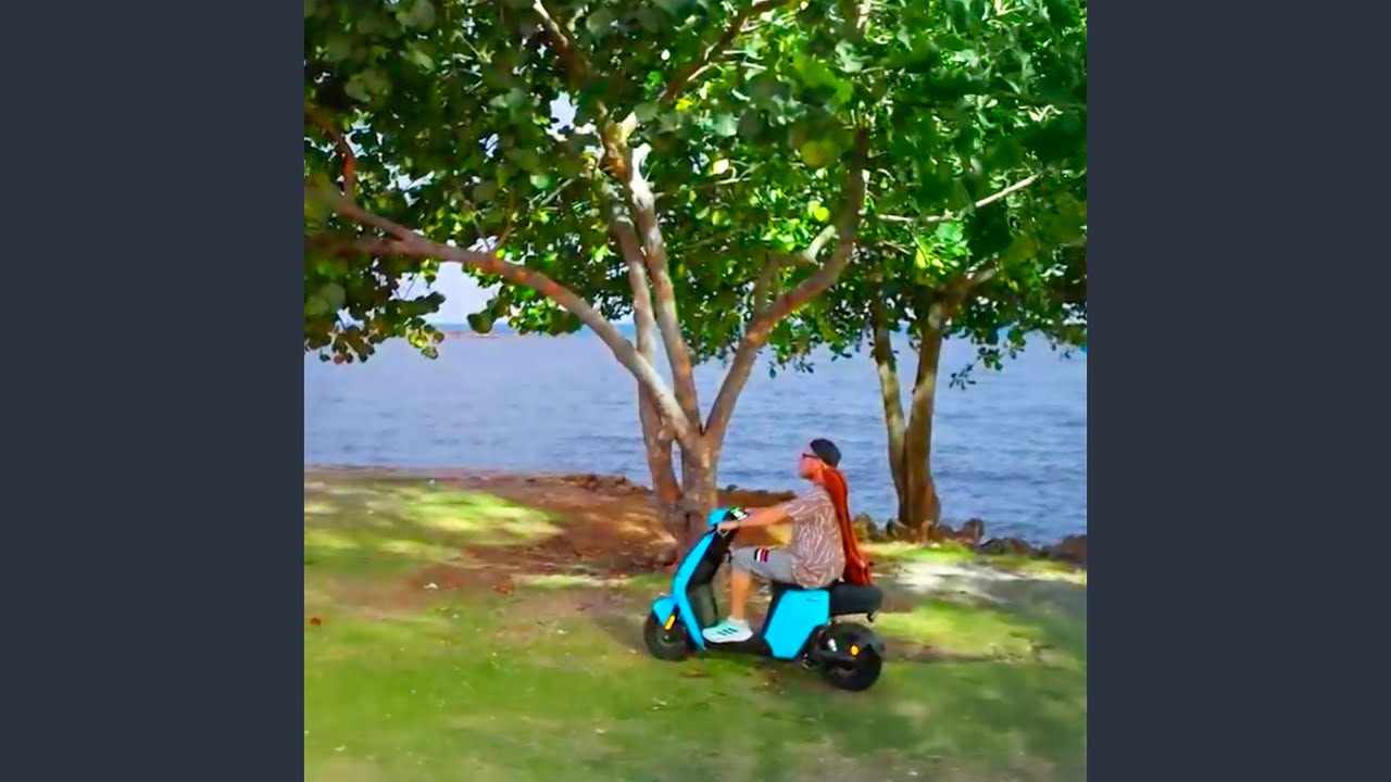 Turista