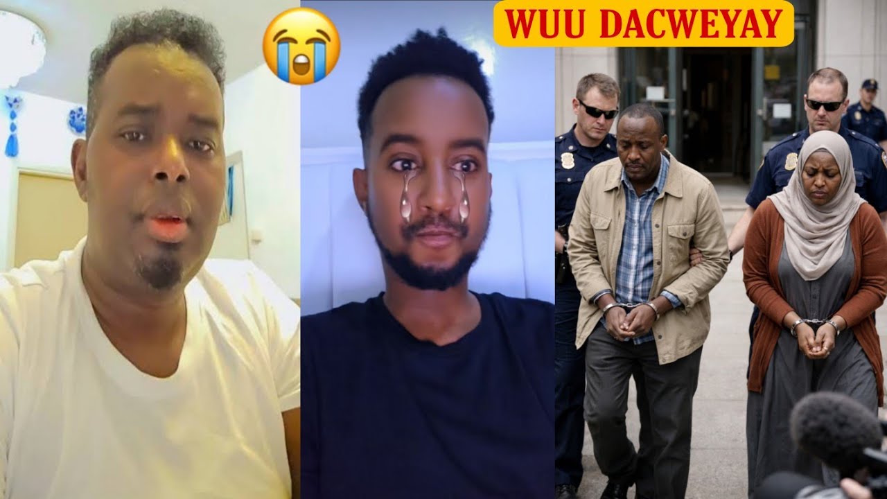 DAAWO MAREYKANKA WIILKII HOOYODII IYO AABIHII DACWEYAY OO SOMALIDIIKUKACEEN 