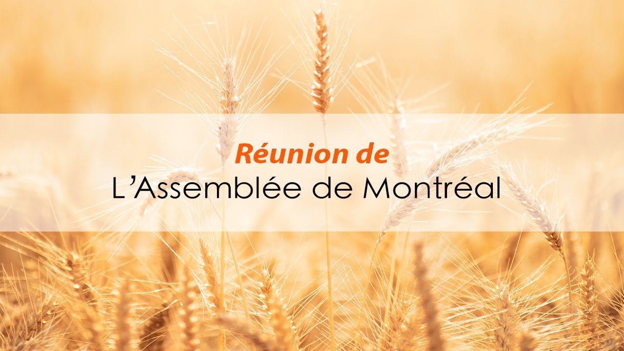 Vendredi 13 mars 2026