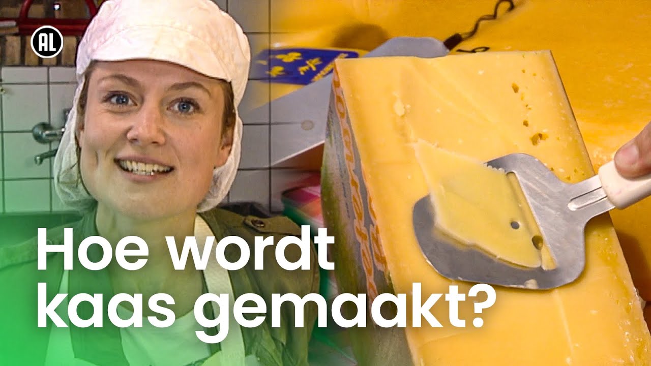 Hoe wordt kaas gemaakt? | Het Klokhuis
