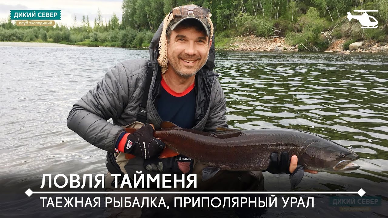 Ловля хариуса, тайменя с заброской вертолетом на Приполярный Урал | Таежная рыбалка