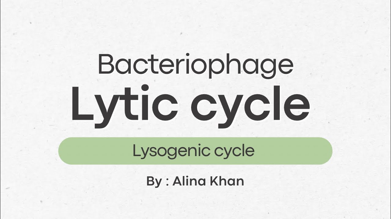 Bacteriophage and Mechanism of lifecycle in Bacteriophage with Handwritten notes #educationalvideos 