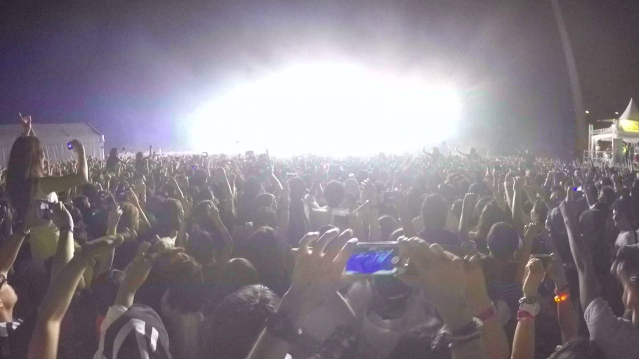 Avicii Japan Tour 2016 in Osaka Part6  [1080 60fps ]