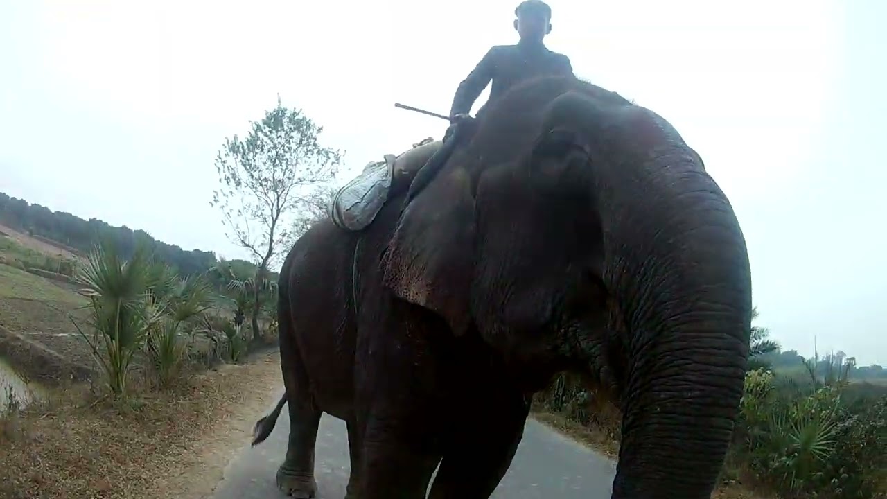 Jatahara - Bongpur Road